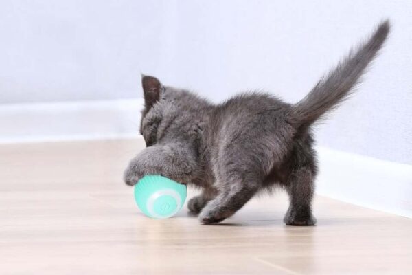 Cat Ball Interactive Smart Toy - Image 3