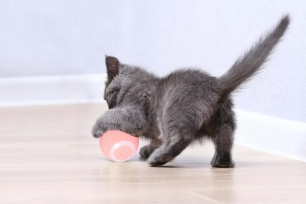 Cat Ball Interactive Smart Toy Pink - Image 3